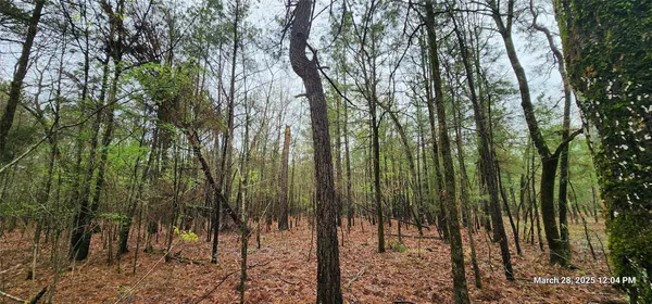 $164,565 | 3230 Clarksville Tx 75426, Clarksville, TX 75426