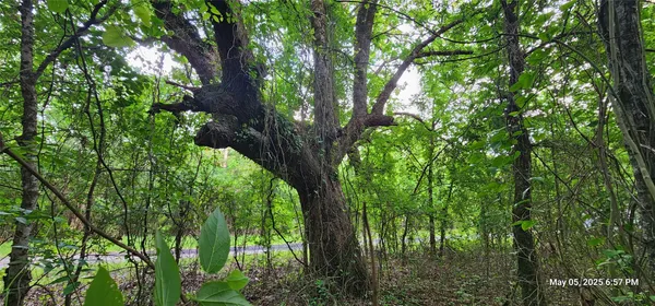 $164,565 | 3230 Clarksville Tx 75426, Clarksville, TX 75426