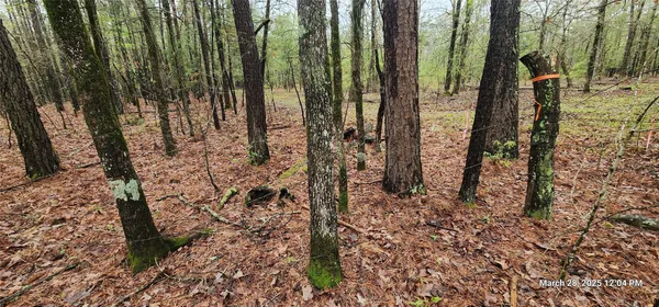 $164,565 | 3230 Clarksville Tx 75426, Clarksville, TX 75426