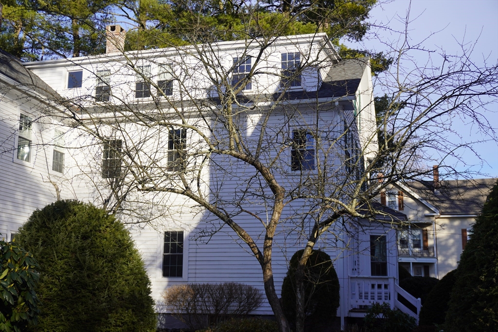 28 Court Street Mansfield, MA 02048 - Photo 37 of 39 a view of a house with a tree