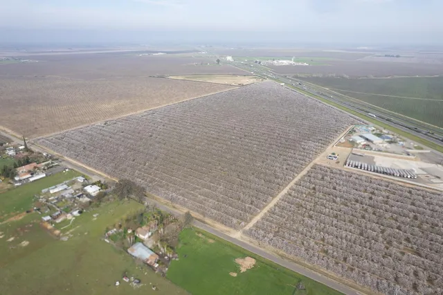 a view of an ocean beach