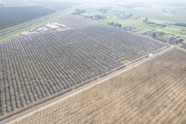 a view of an ocean beach