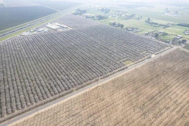 a view of an ocean beach