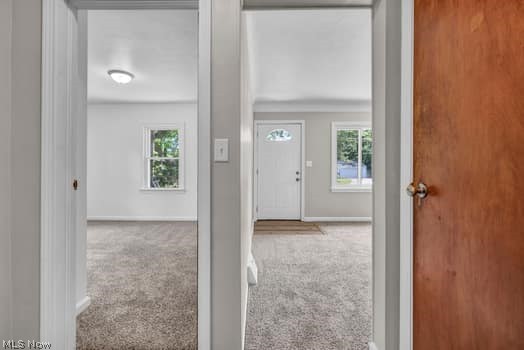 660 Rokeby Road Eastlake, OH 44095 - Photo 13 of 32 Gallery Image 13