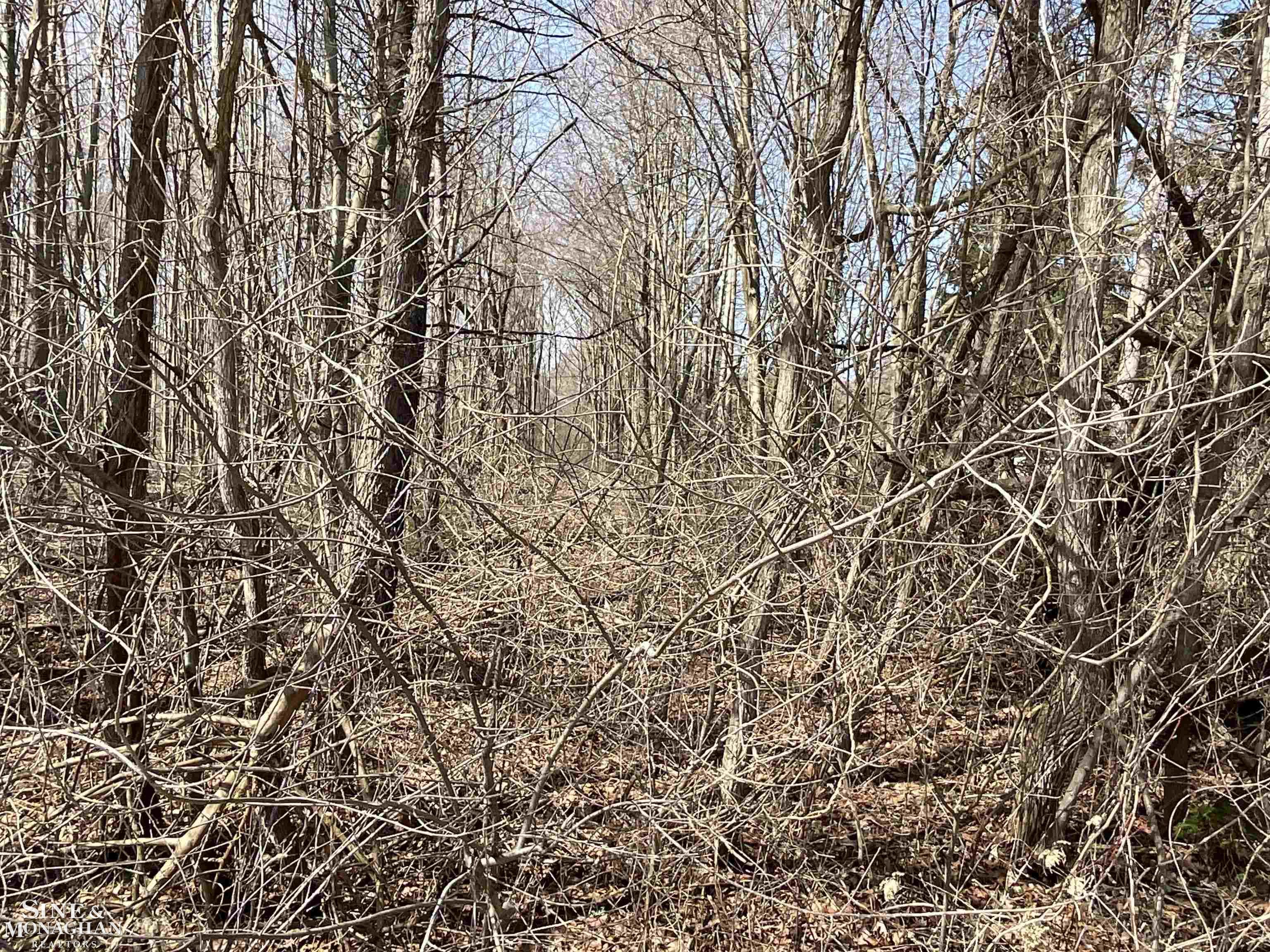 8950 Field Road Algonac, MI 48001 - Photo 12 of 12
