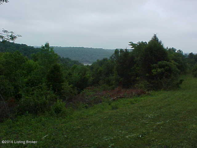 11-12 Drake Ridge Road Bloomfield, KY 40008 - Photo 2 of 12 MVC-008S