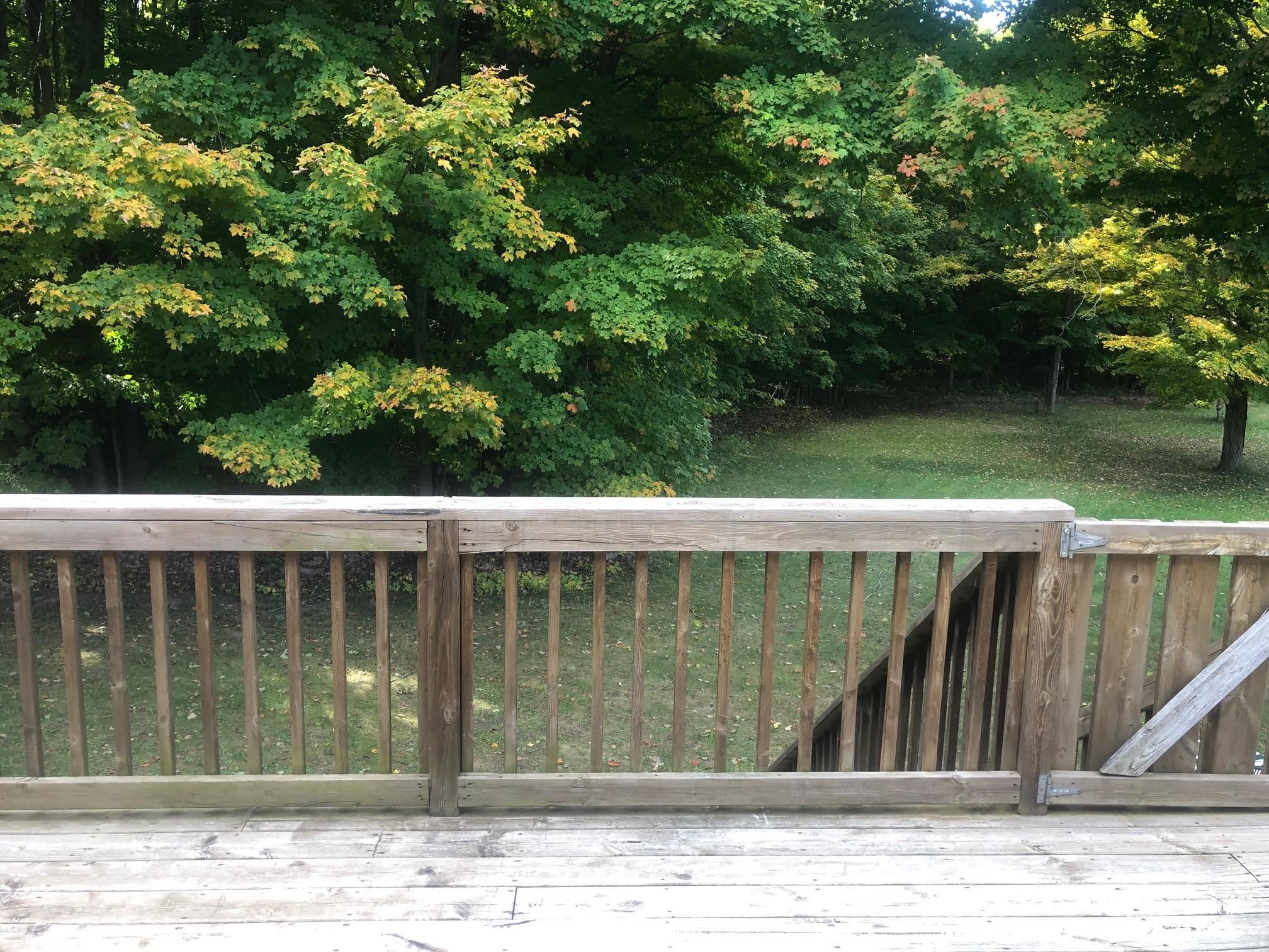 3406 Peckens Road Honor, MI 49640 - Photo 10 of 51 1906221-9.JPG