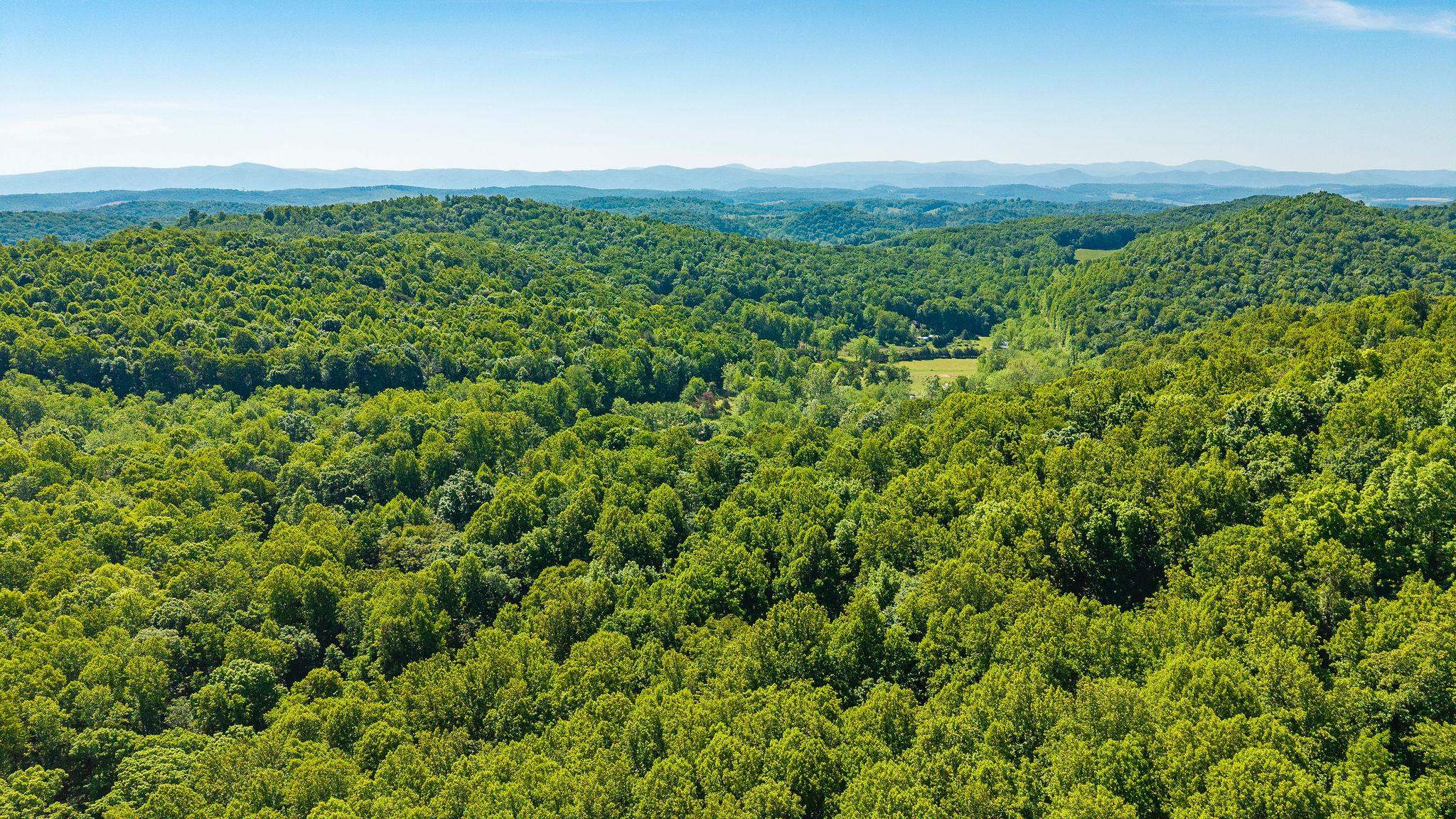 875 Campbells Hollow Road Middlebrook, VA 24459 - Photo 67 of 75