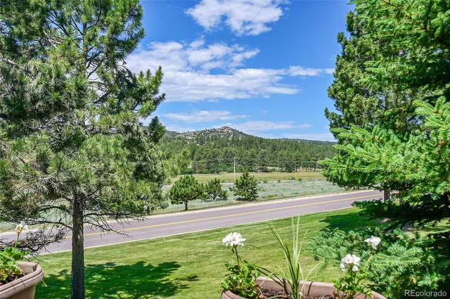 a view of a yard with flower plants