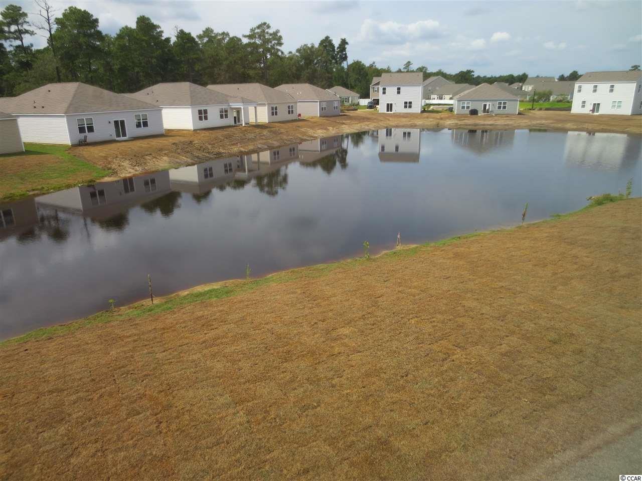 816 Hayes Point Circle Myrtle Beach, SC 29588 - Photo 20 of 25 Gallery Image 20
