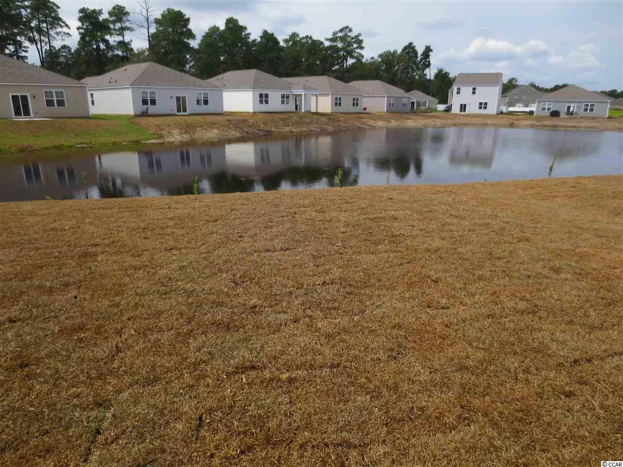 816 Hayes Point Circle Myrtle Beach, SC 29588 - Photo 8 of 25 Gallery Image 8