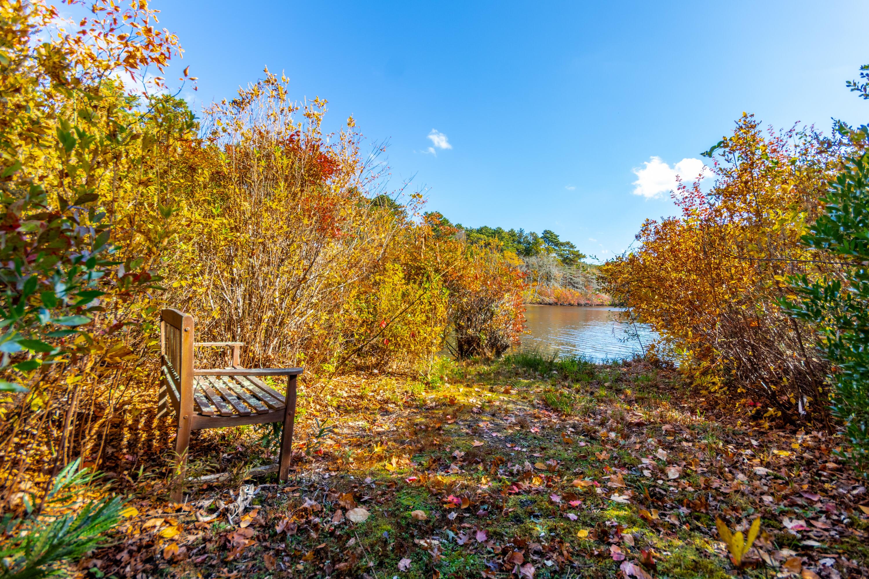 42 Fells Pond Road Mashpee, MA 02649 - Photo 30 of 37 Enjoy the pond views