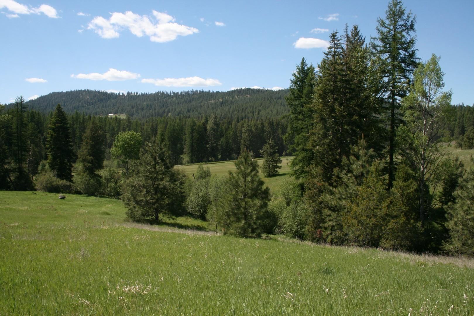 Xx Whittier Road Clayton, WA 99110 - Photo 1 of 32
