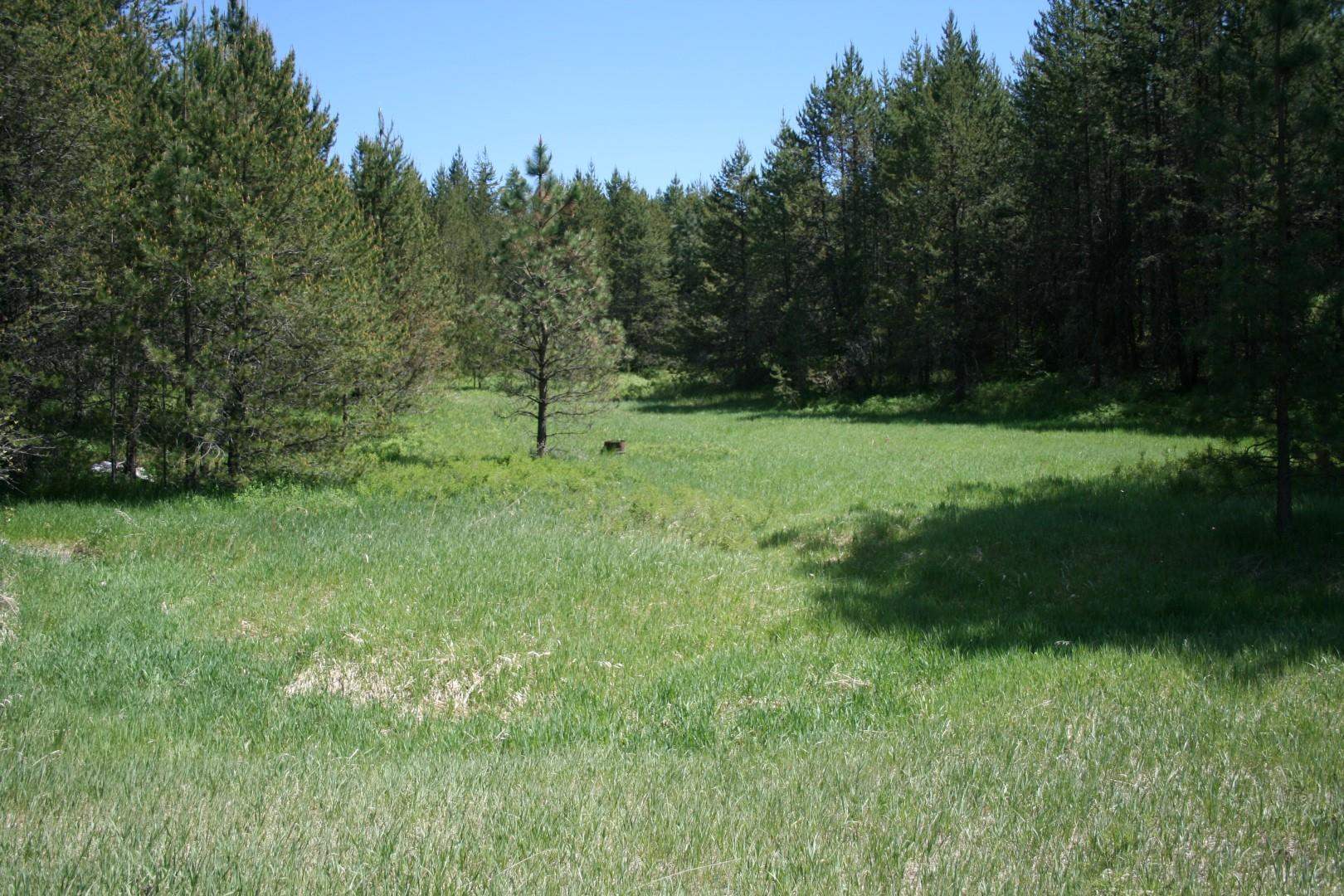 Xx Whittier Road Clayton, WA 99110 - Photo 13 of 32