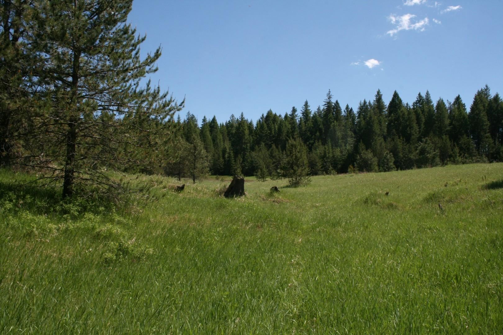 Xx Whittier Road Clayton, WA 99110 - Photo 18 of 32