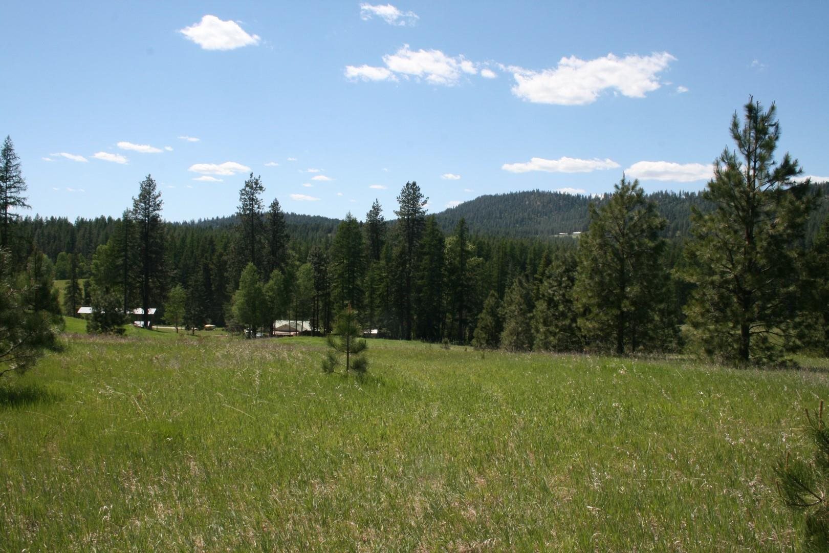 Xx Whittier Road Clayton, WA 99110 - Photo 22 of 32