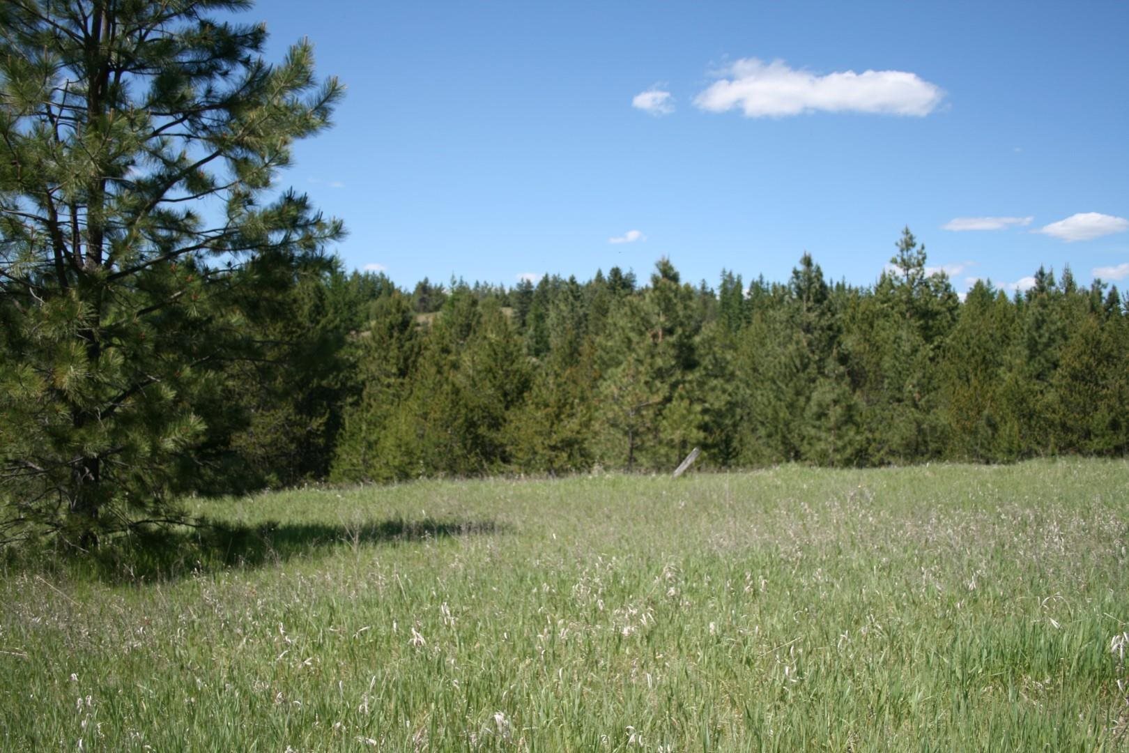 Xx Whittier Road Clayton, WA 99110 - Photo 24 of 32