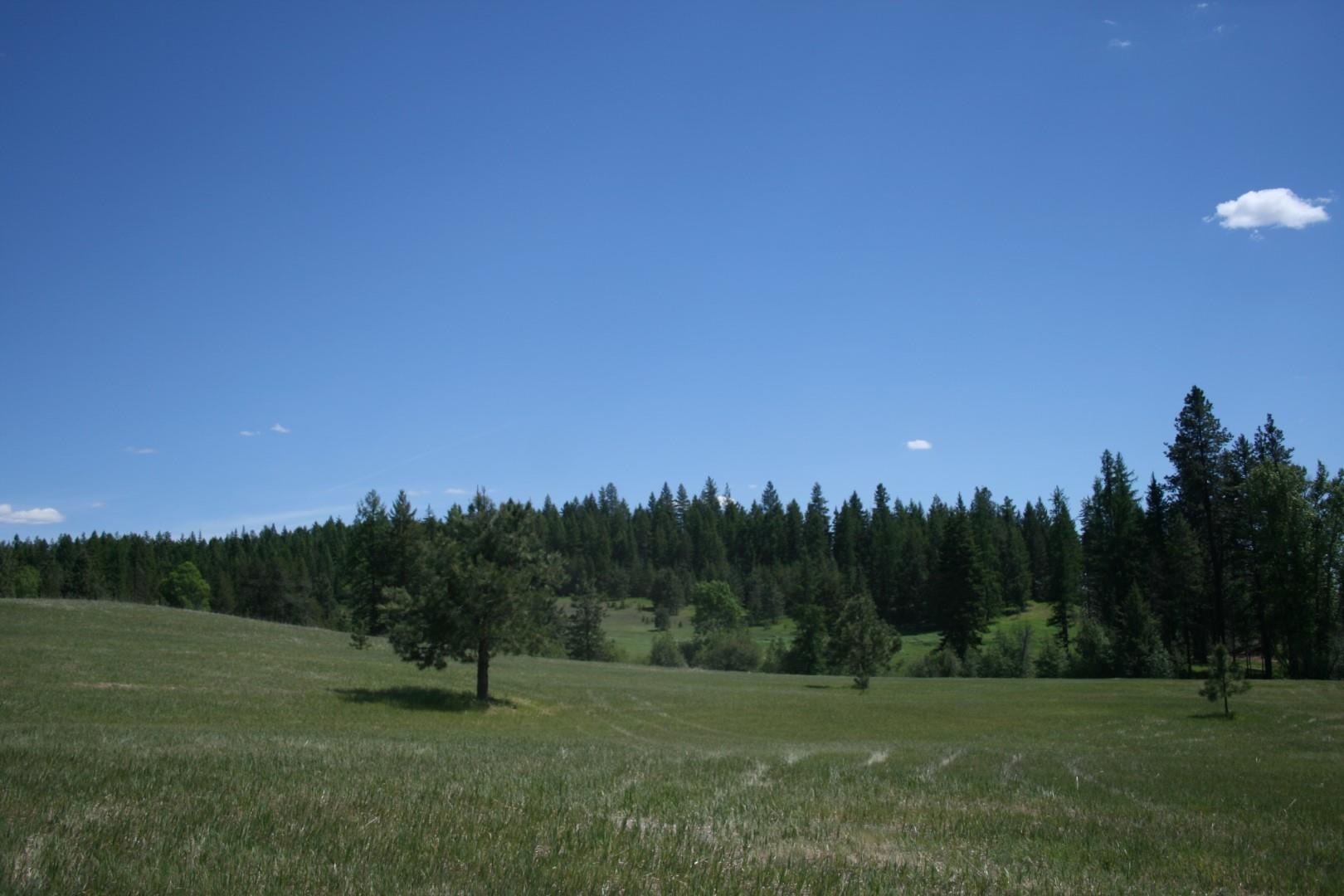 Xx Whittier Road Clayton, WA 99110 - Photo 7 of 32