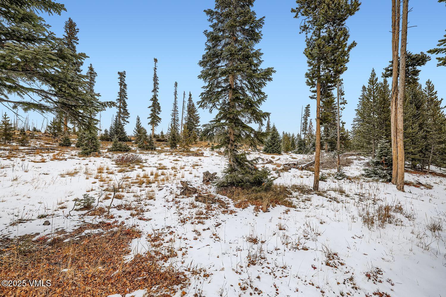 91300 Ryan Gulch Road, Unit 305 Silverthorne, CO 80498 - Photo 32 of 46 a view of a yard covered in snow