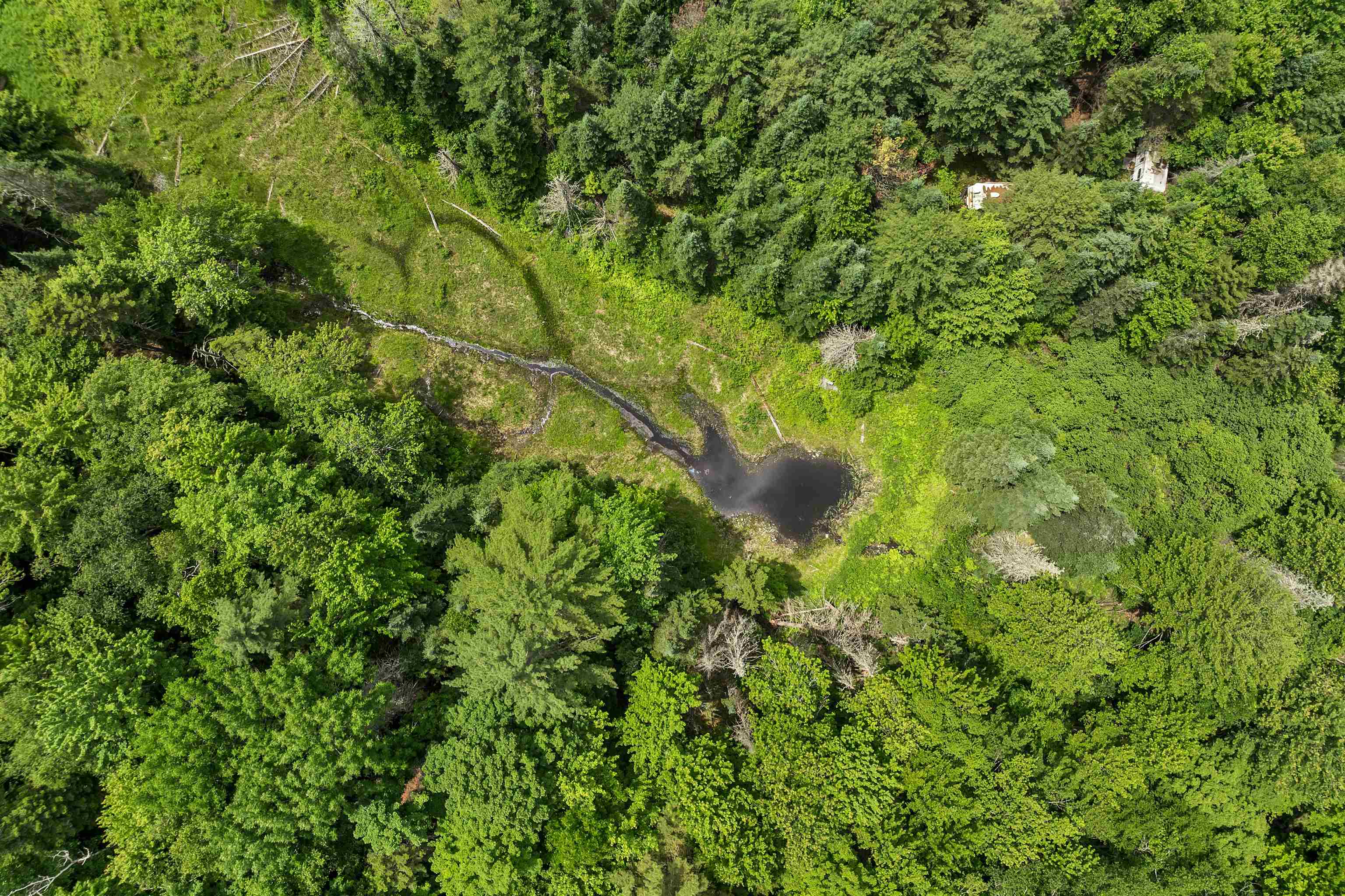 0 Skinny Ridge Road Lyman, NH 03585 - Photo 11 of 11