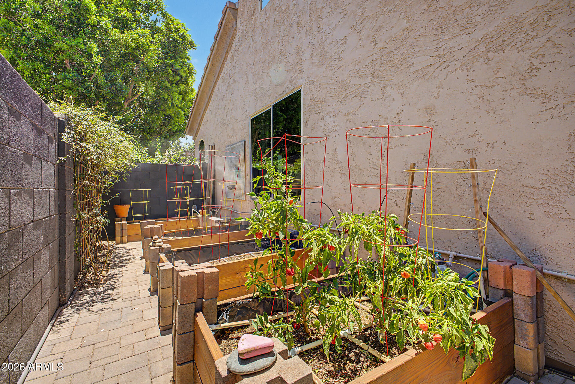 474 East Ranch Road Gilbert, AZ 85296 - Photo 52 of 66