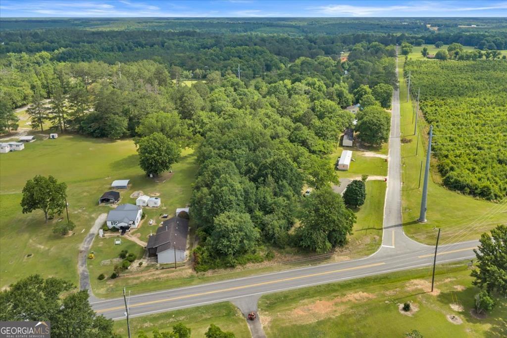 1295 Blackshear Ferry Road Dudley, GA 31022 - Photo 15 of 16