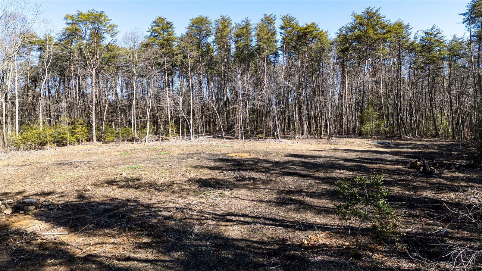 805 Dukes Road Signal Mountain, TN 37377 - Photo 15 of 33 Gallery Image 15