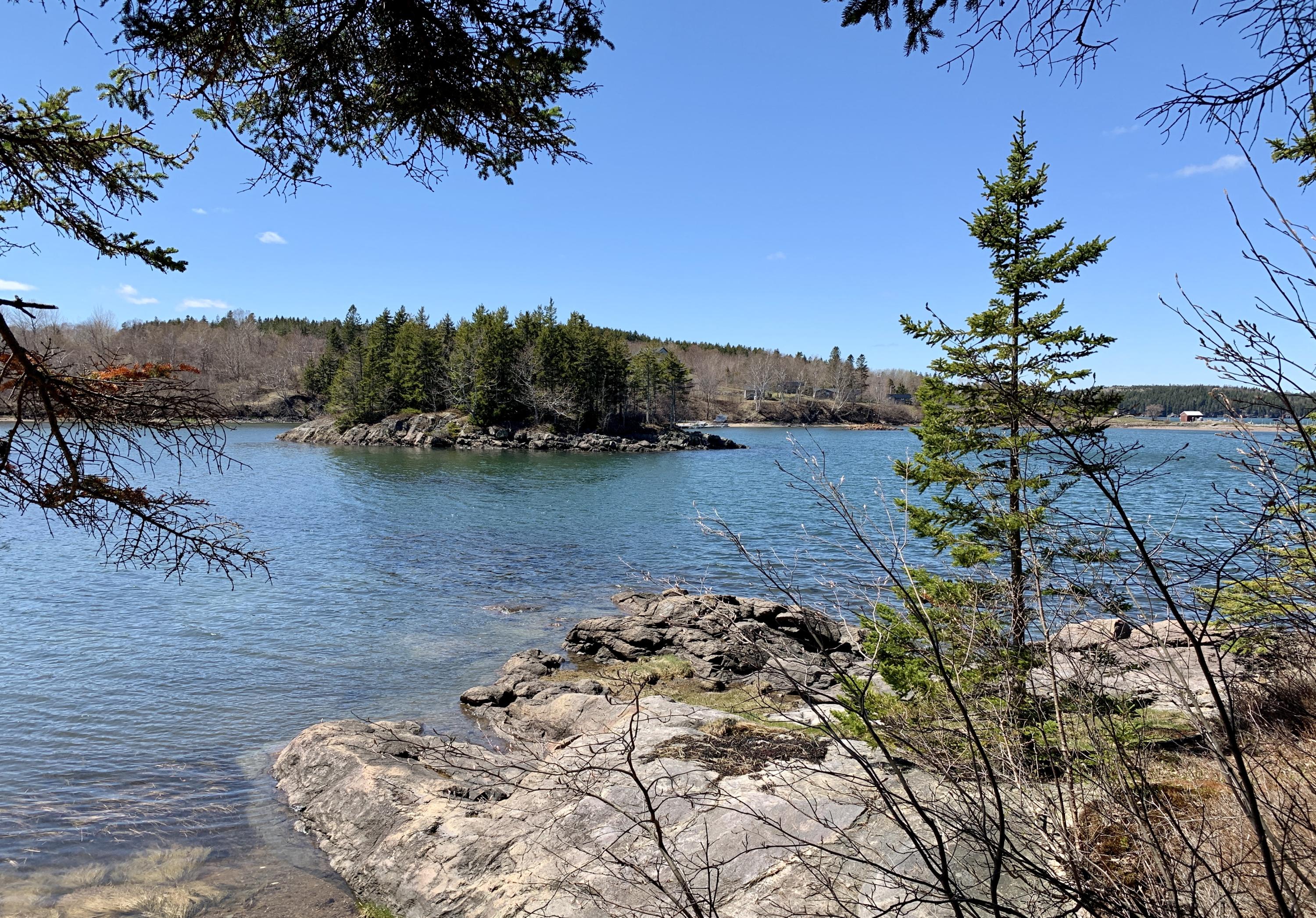 20 Harris Point Road Eastport, ME 04631 - Photo 22 of 33 20 Harris Point Eastport view across sma