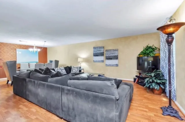 a living room with furniture a potted plant and a table