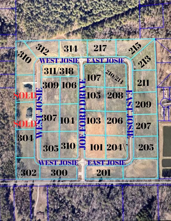 101 Joe Ford Lane Haughton, LA 71037 - Photo 4 of 4