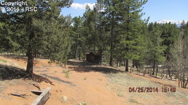 5526 N Road Divide, CO 80814 - Photo 4 of 19 Gallery Image 4