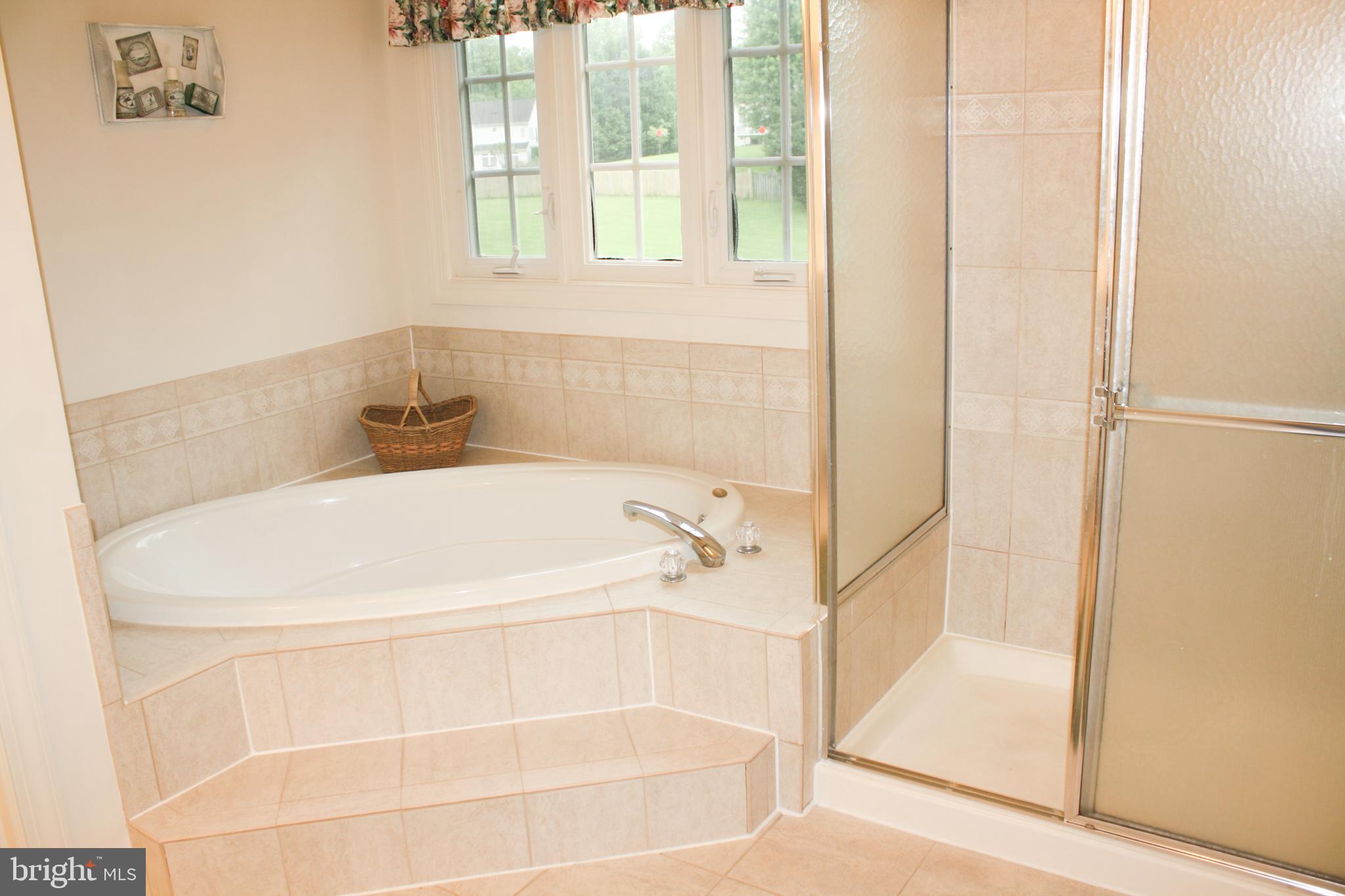 1024 St Stephens Church Road Crownsville, MD 21032 - Photo 25 of 33 Primary Bath Soaking Tub & Separate Shower