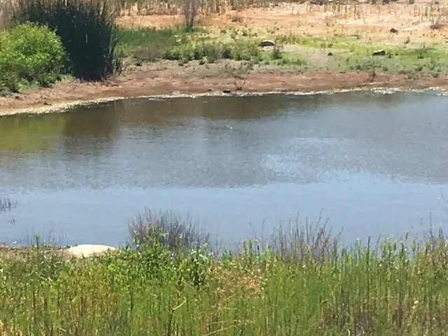 a view of lake with green field