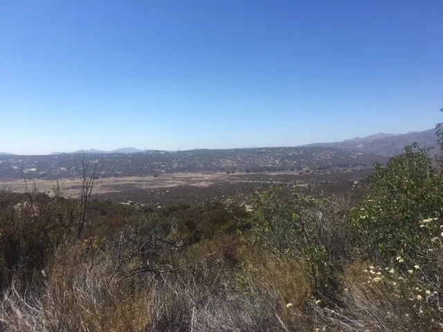 a view of city and mountain