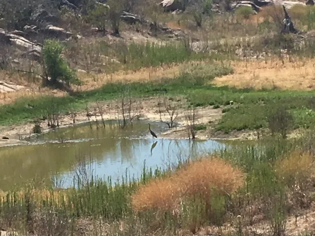 a view of river covered by trees and buildings