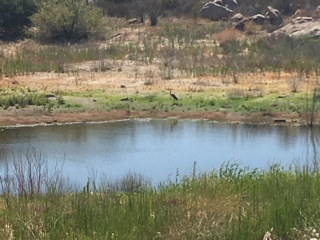 1388 Harris Ranch Road Potrero, CA 91963 - Photo 3 of 24 a view of lake