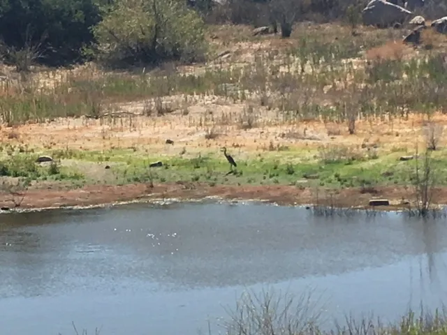 a view of a lake view