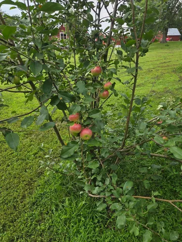 $299,000 | 2020 271st Avenue, Dawson, MN 56232