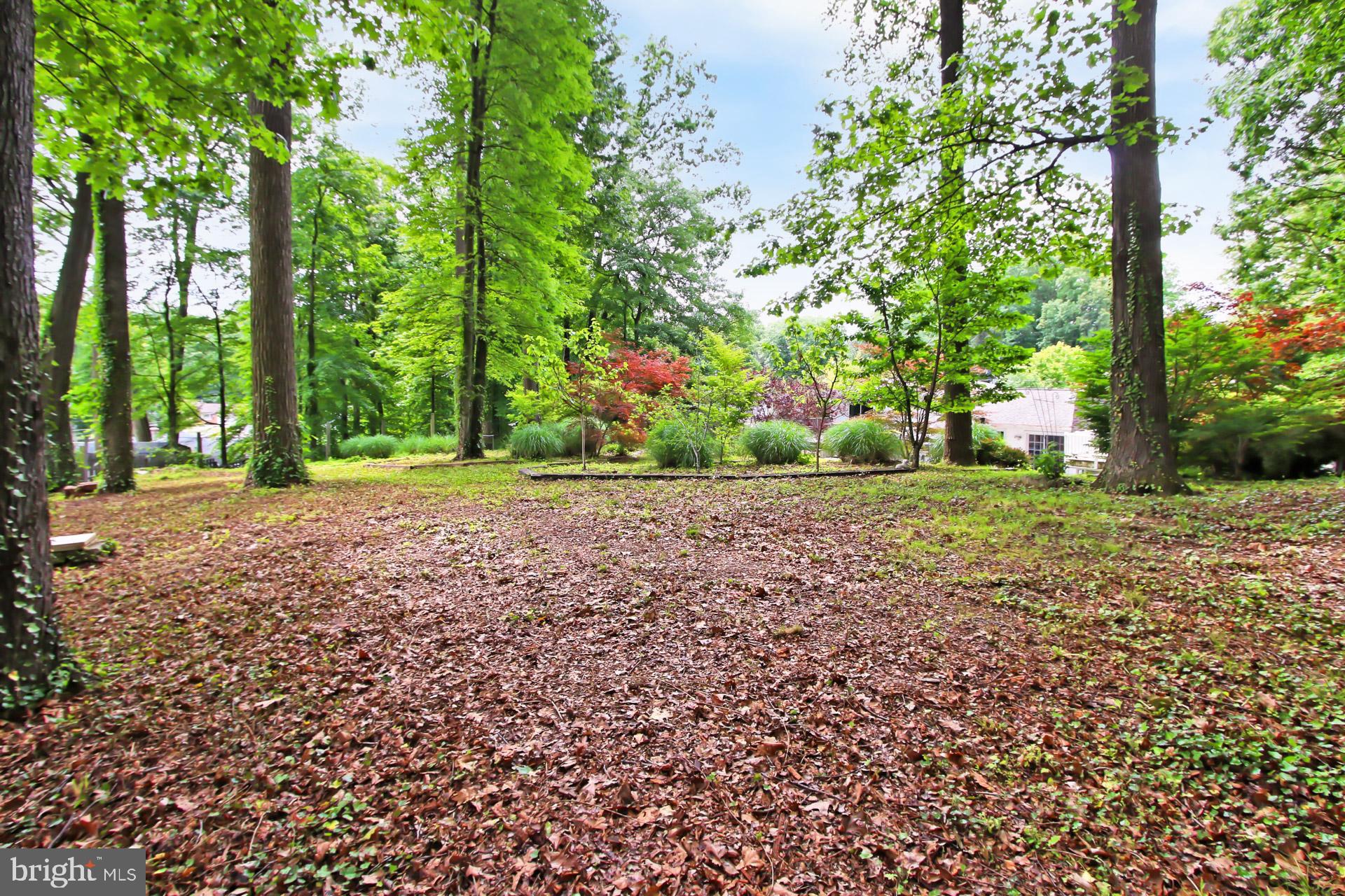6305 Gormley Place Springfield, VA 22152 - Photo 40 of 66 Very private back yard