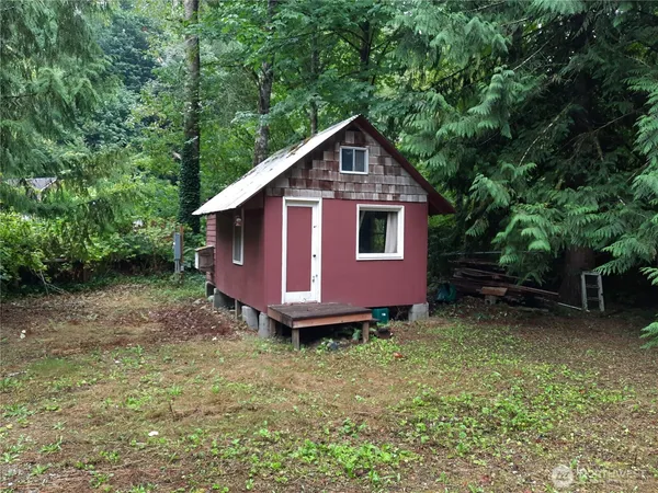 a view of a backyard with plants and large trees