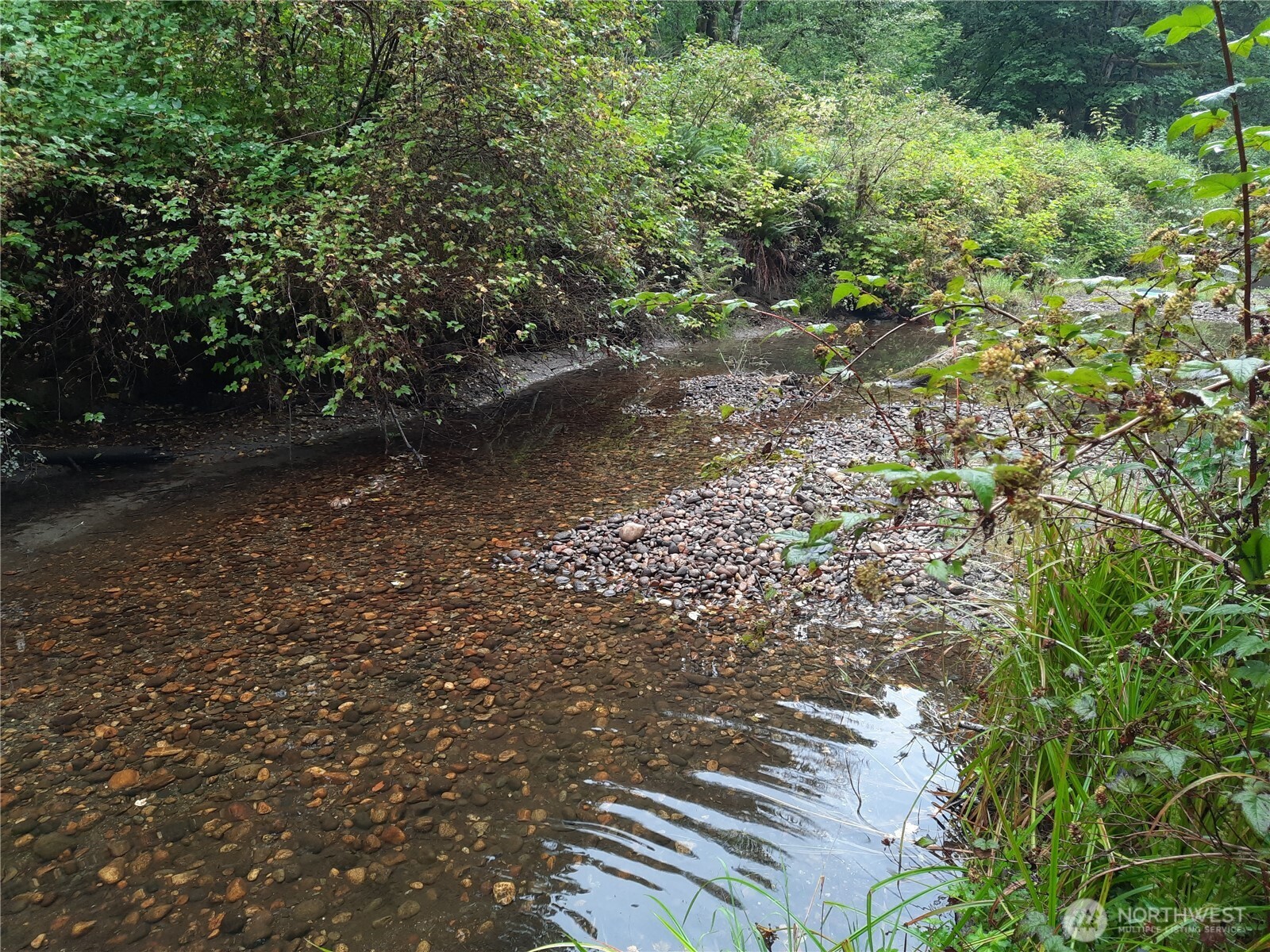13816 White Falls Lane Concrete, WA 98237 - Photo 14 of 22 a view of a forest with trees