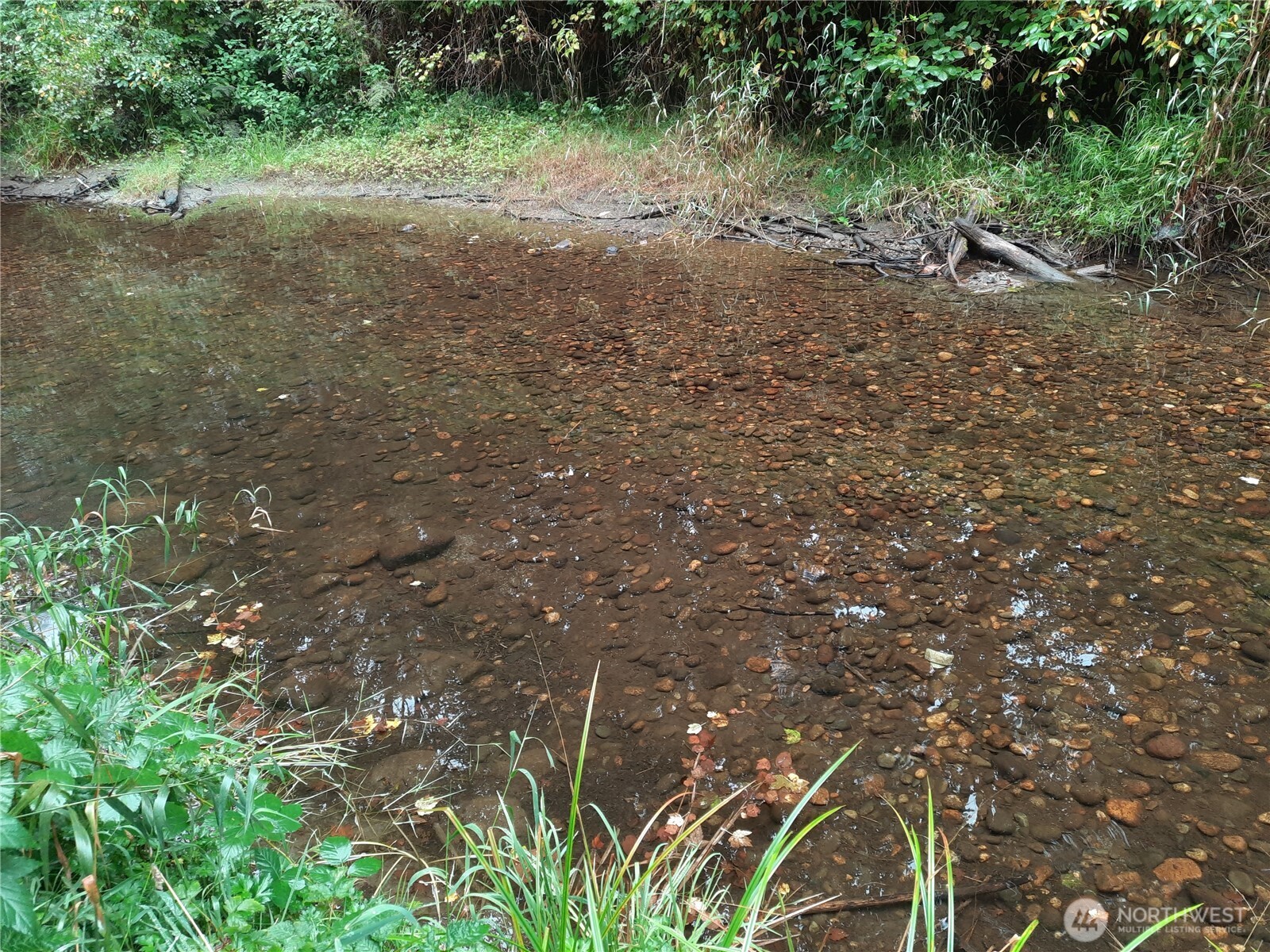 13816 White Falls Lane Concrete, WA 98237 - Photo 15 of 22 a view of a yard with a tree