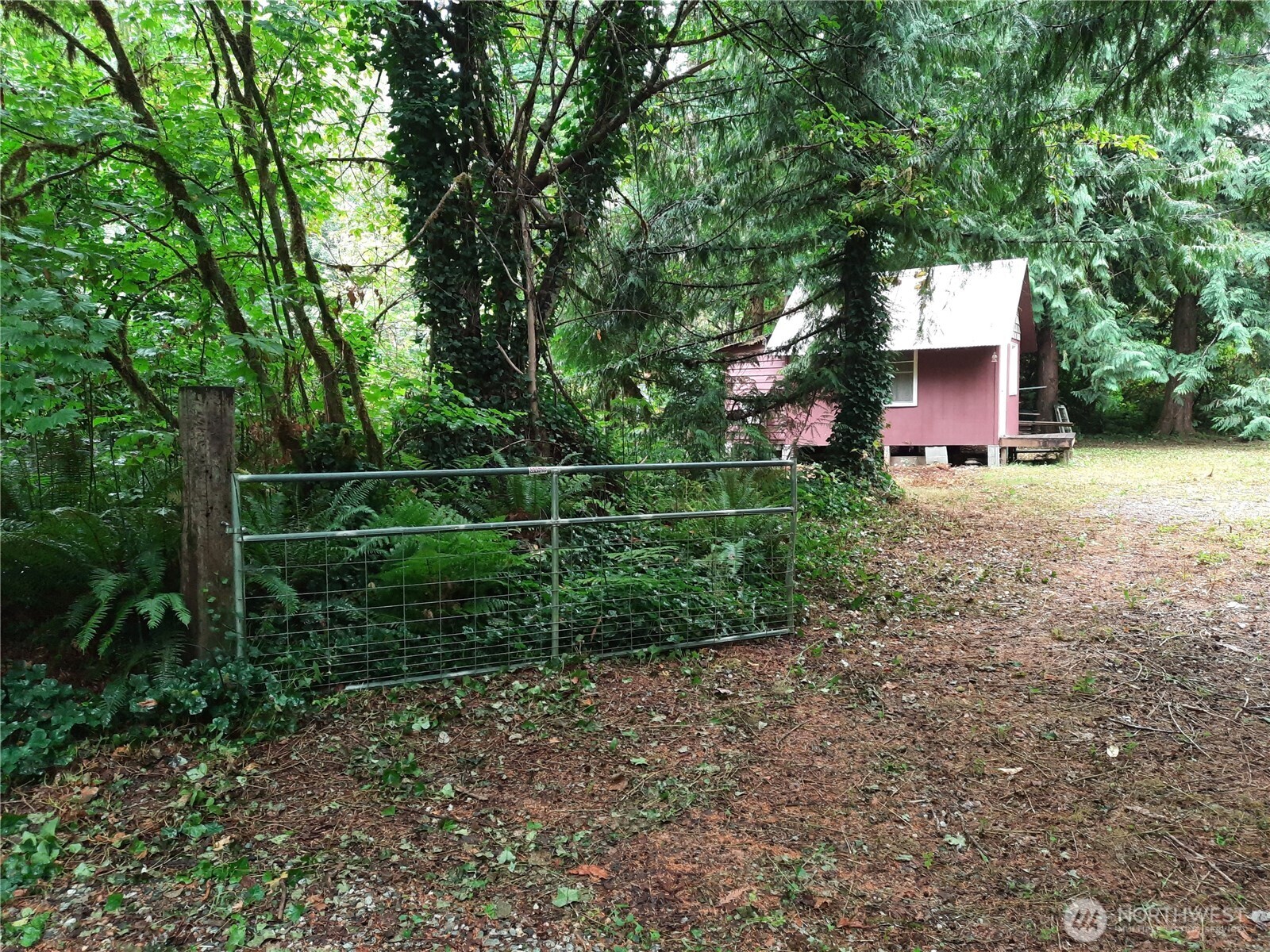 13816 White Falls Lane Concrete, WA 98237 - Photo 6 of 22 a front view of a house with a yard