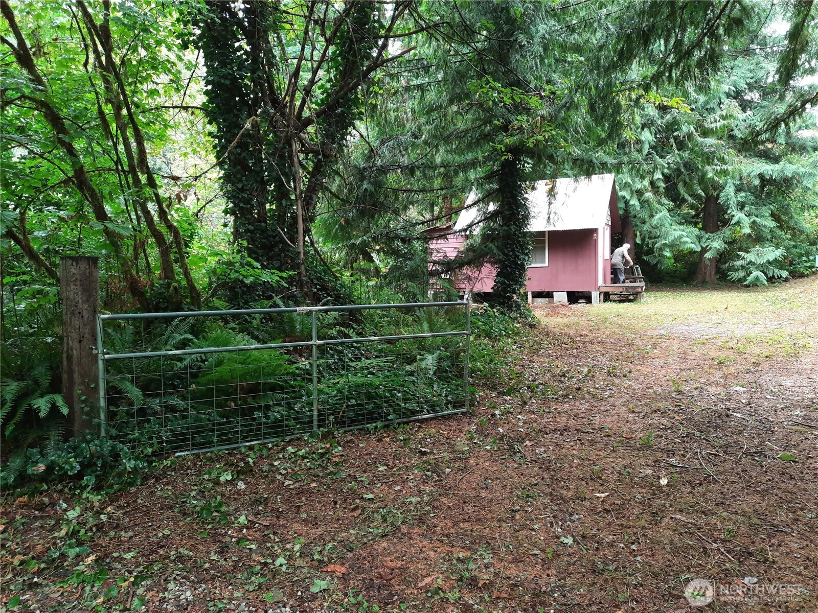 13816 White Falls Lane Concrete, WA 98237 - Photo 7 of 22 a front view of a house with garden
