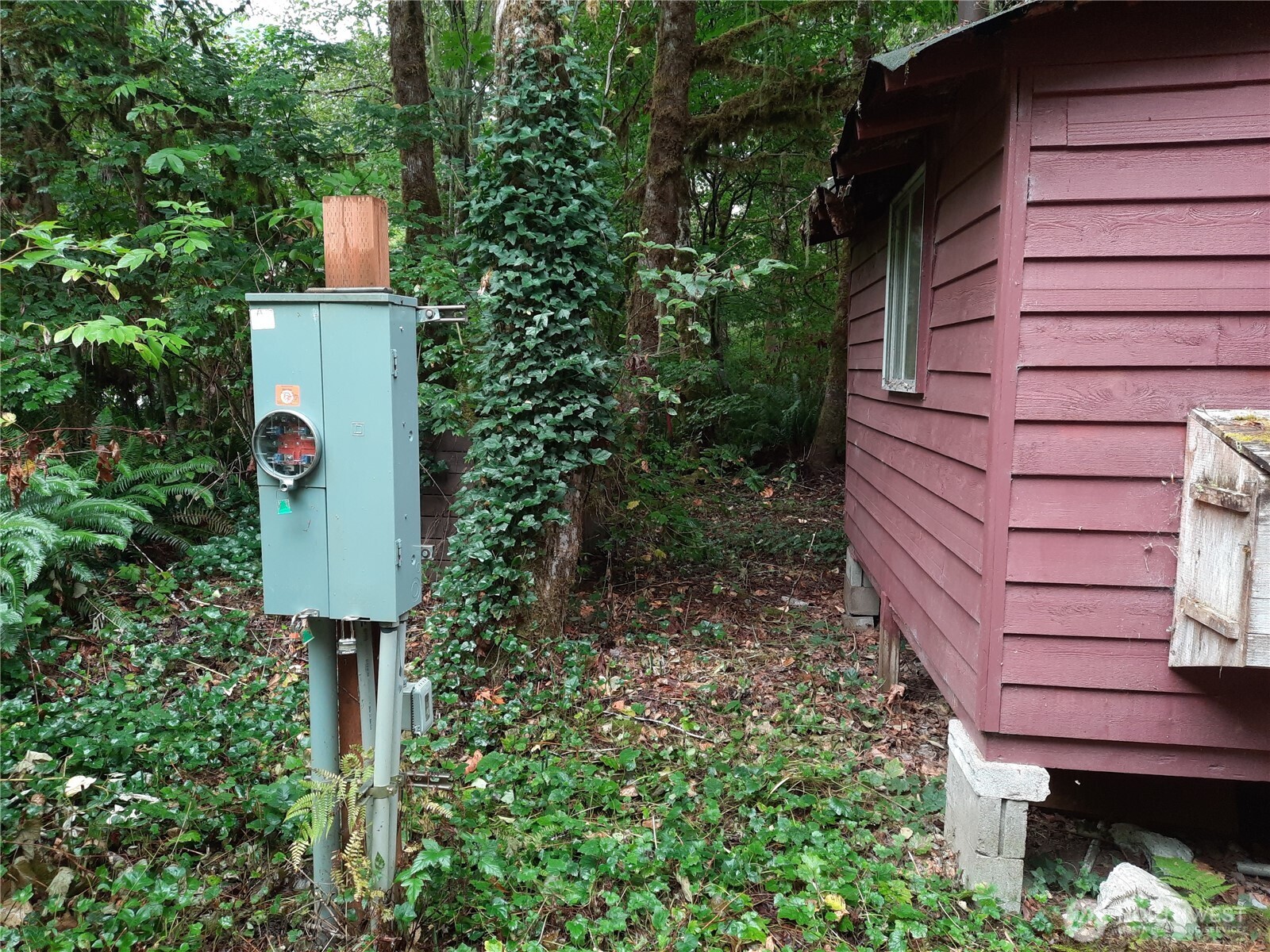 13816 White Falls Lane Concrete, WA 98237 - Photo 10 of 22 a view of a house with a yard