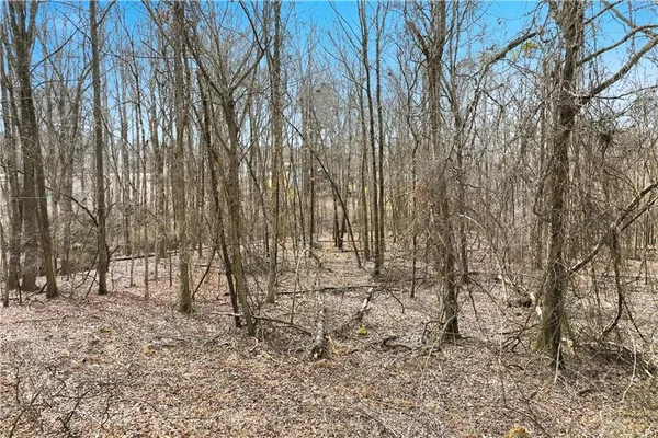 a view of backyard with trees