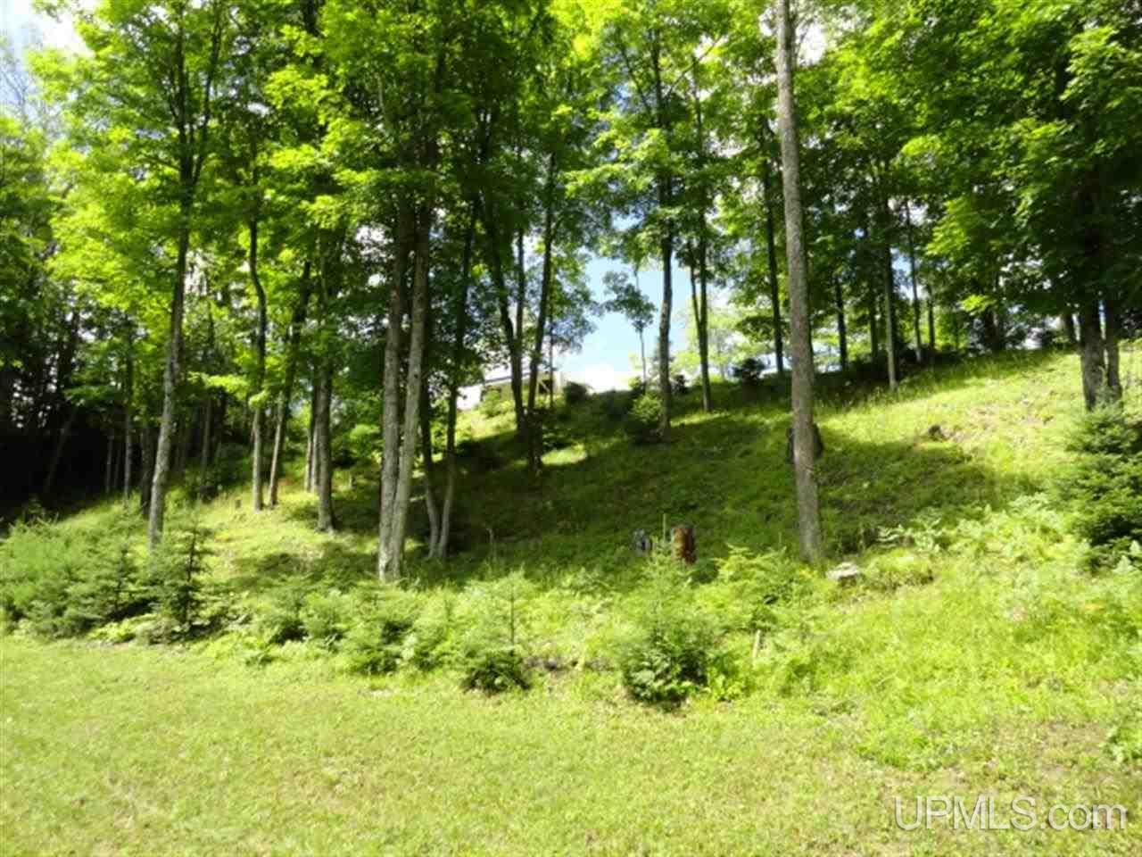 962 Gold Road, Unit 1 Michigamme, MI 49879 - Photo 15 of 29 Gallery Image 15
