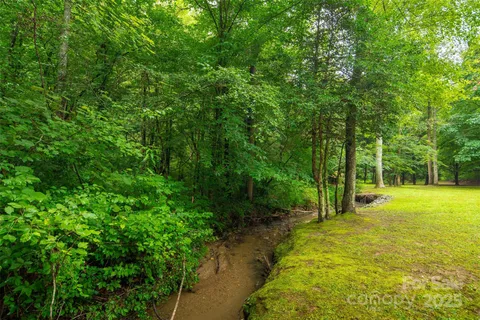 a view of a swimming pool with a garden