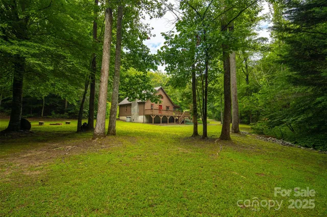 a view of a lush green hillside
