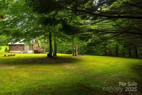 a view of a lush green field with a mountain in the background